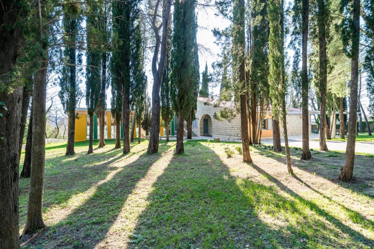 Villa Agave Gruda Exterior foto